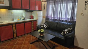 Un ambiente compatto con angolo cottura, un divano in pelle nera e pavimento piastrellato.