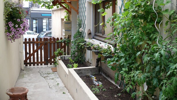 Un piccolo giardino urbano, stretto, con recinzione in legno, piante in vaso e un aiuola rialzata.