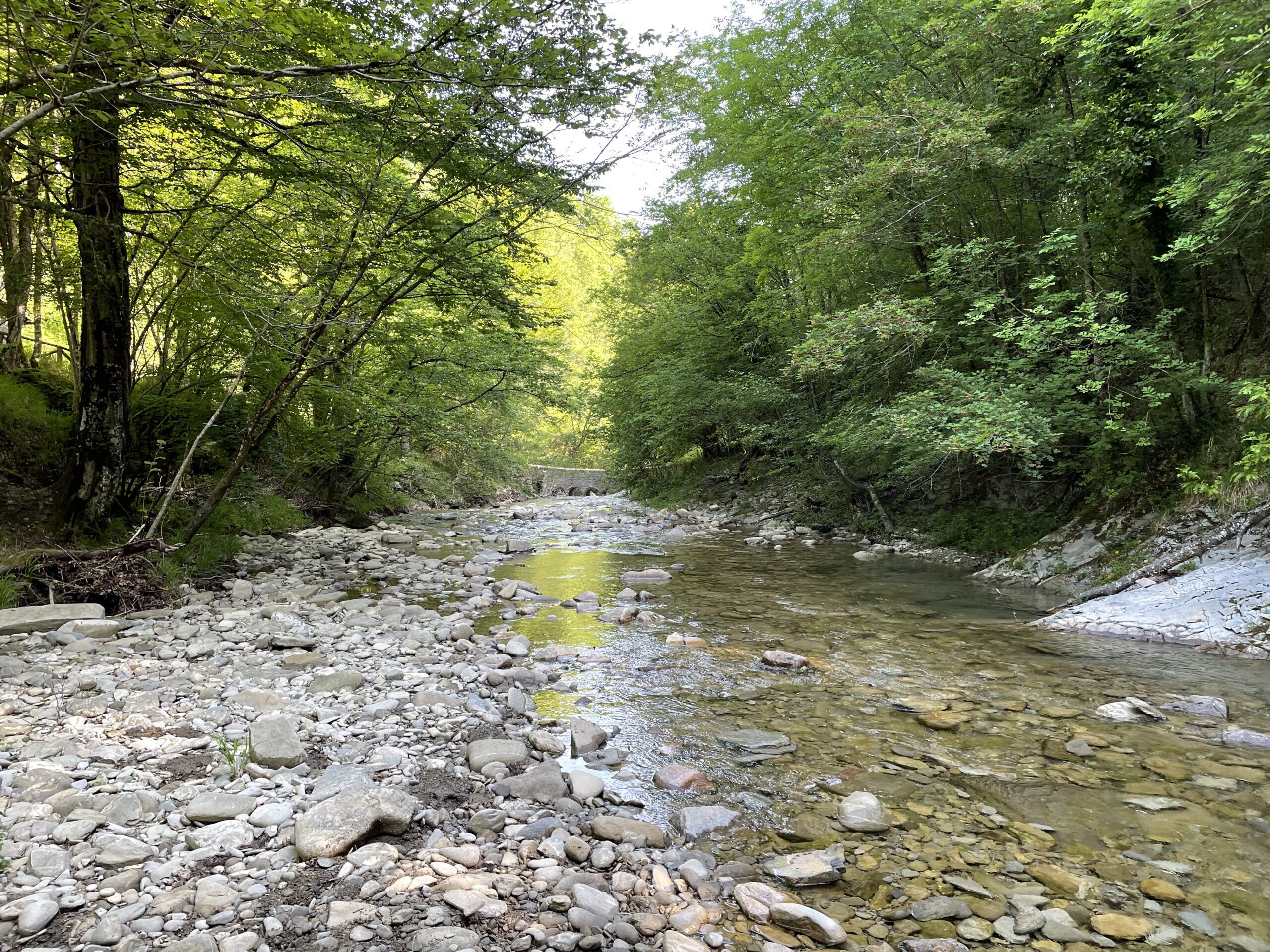 A natural riverbed with clear water, surrounded by dense green foliage and rocky terrain.