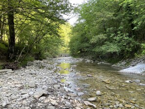 Ein natürliches Flussbett mit klarem Wasser, umgeben von dichtem Grün und felsigem Gelände.