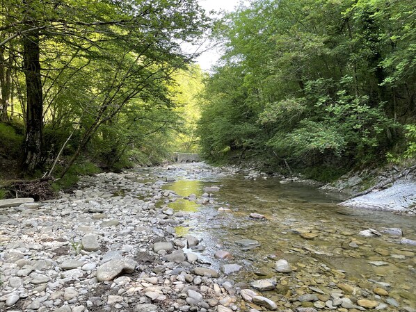 Un lit de rivière naturel aux eaux claires, bordé d’une végétation luxuriante et entouré d’un paysage rocheux.