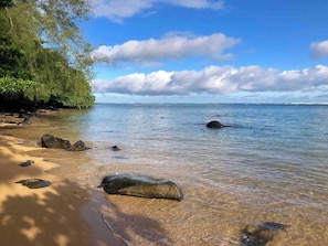 A beach with clear water, rocks, and trees.