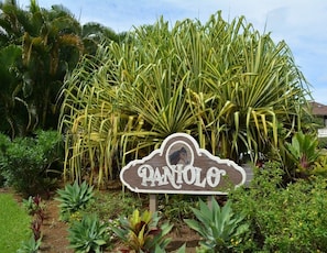 A sign with the name 'PANILO' in a garden setting with various plants and a palm tree in the background.