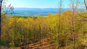 A forested landscape with a clear view of distant hills. - Romantic Cabin with Jacuzzi Tub. Ride-in Access to Wolf Pen Gap ATV trails  (Mena)