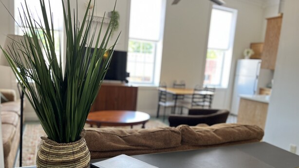 A living room with a sofa, a coffee table, a laptop, and a potted plant. - Brickhaven Loft on Historic Main Street - walk to Spring River, State Park, more (Mammoth Spring)