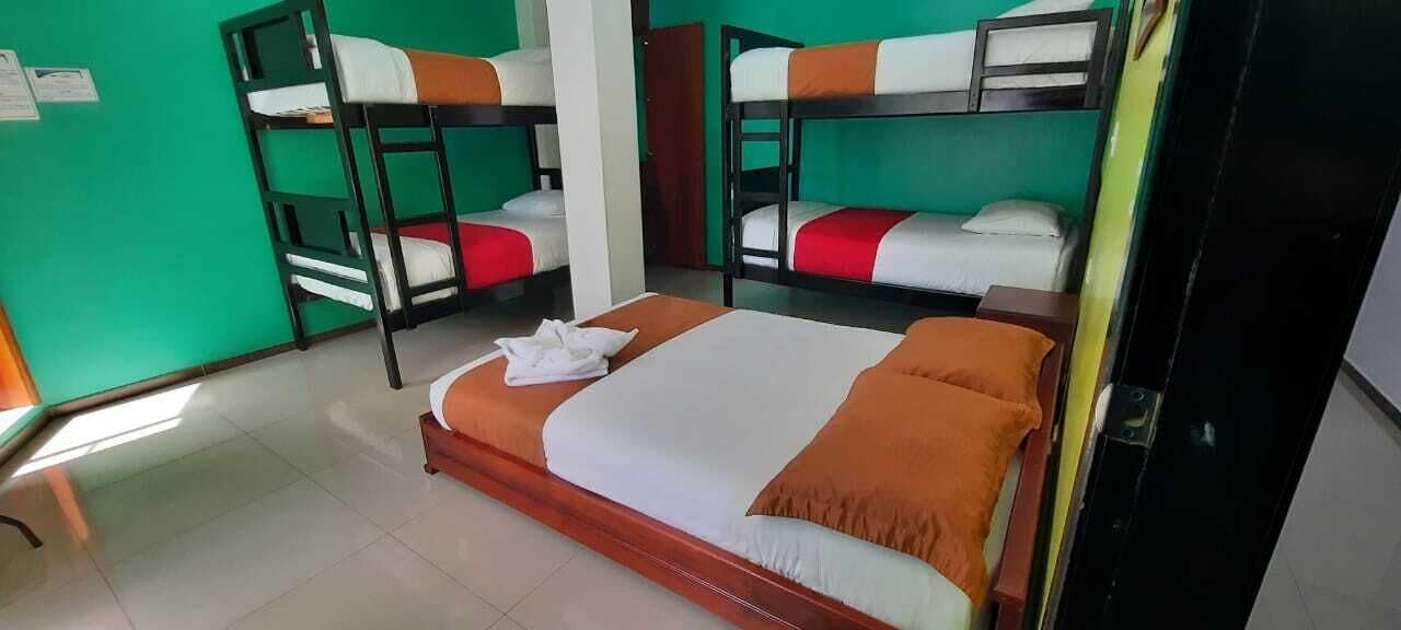A dormitory room with bunk beds, a wooden bed frame, and a white pillow on the lower bunk.
