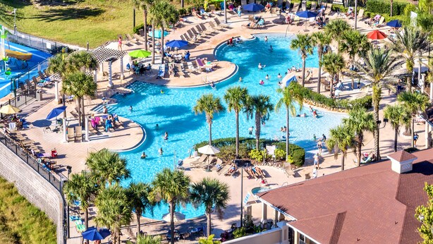A large outdoor swimming pool surrounded by lounge chairs and umbrellas, with palm trees and a brick wall in the background.