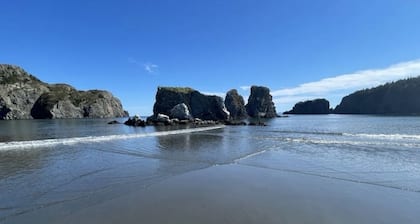 3 bedroom 2 bathroom house in Victoria N.L