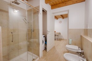 Shower, hair dryer, bidet, towels