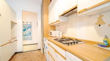 KĂŒhlschrank, Herdplatte, GeschirrspĂŒler