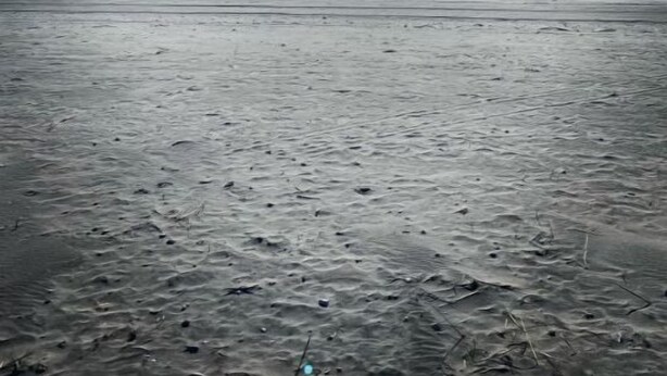 Een strand met een heldere lucht en de zon die schijnt.