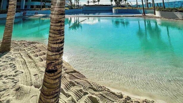 A resort pool area with clear water, palm trees, and a building in the background.