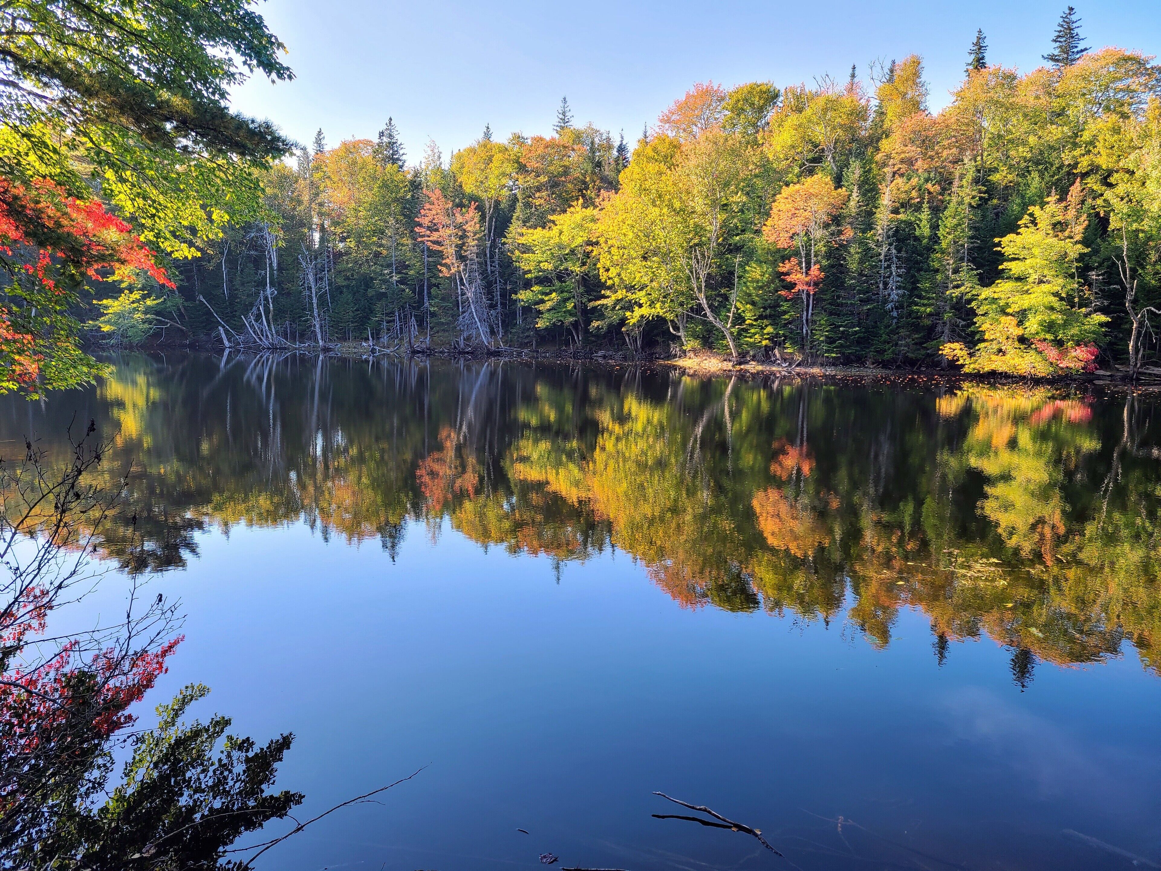 Un lac paisible, entouré d’arbres aux feuilles d’automne.