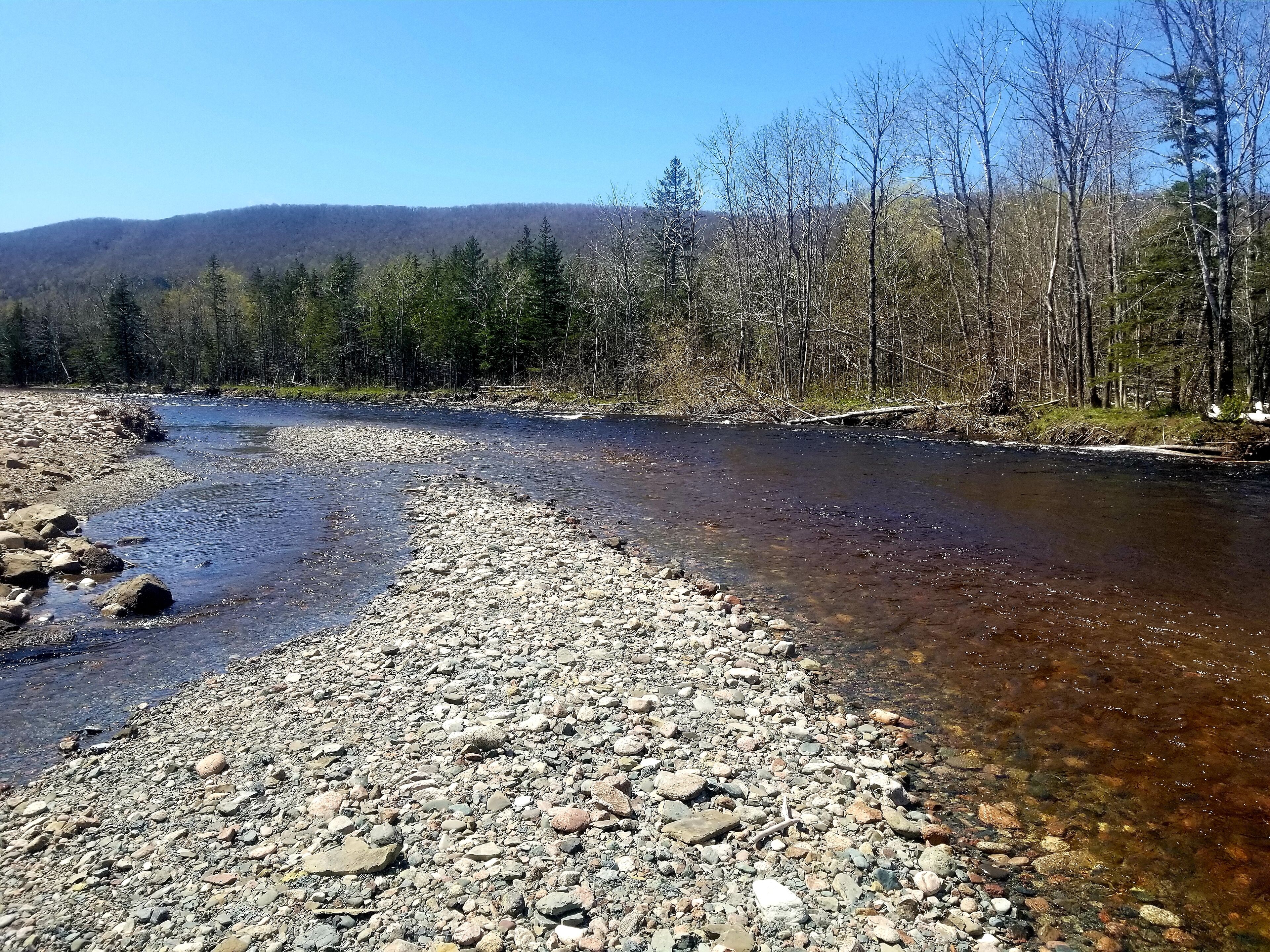 A river with clear water flowing through a rocky bed, surrounded by trees and hills in the background.