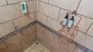 Ducha, secador de pelo, toallas, jabón
