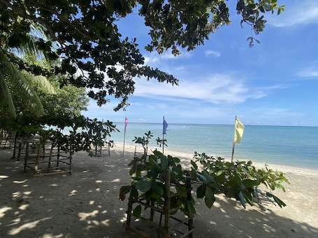 Áreas de la propiedad. Palm Garden Resort