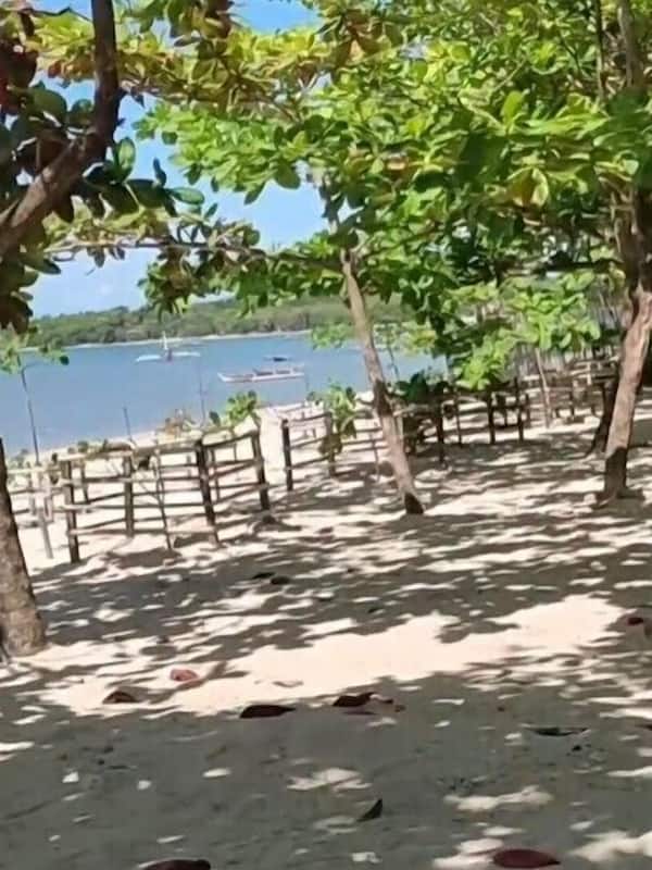 Private beach, white sand, beach cabanas, beach bar
