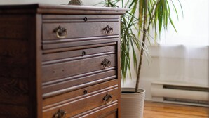 A wooden dresser with drawers, a lamp, and a potted plant in a room with wooden flooring and a large window. - The Poplars Suite 1827: A Historic Stay (Cobourg)