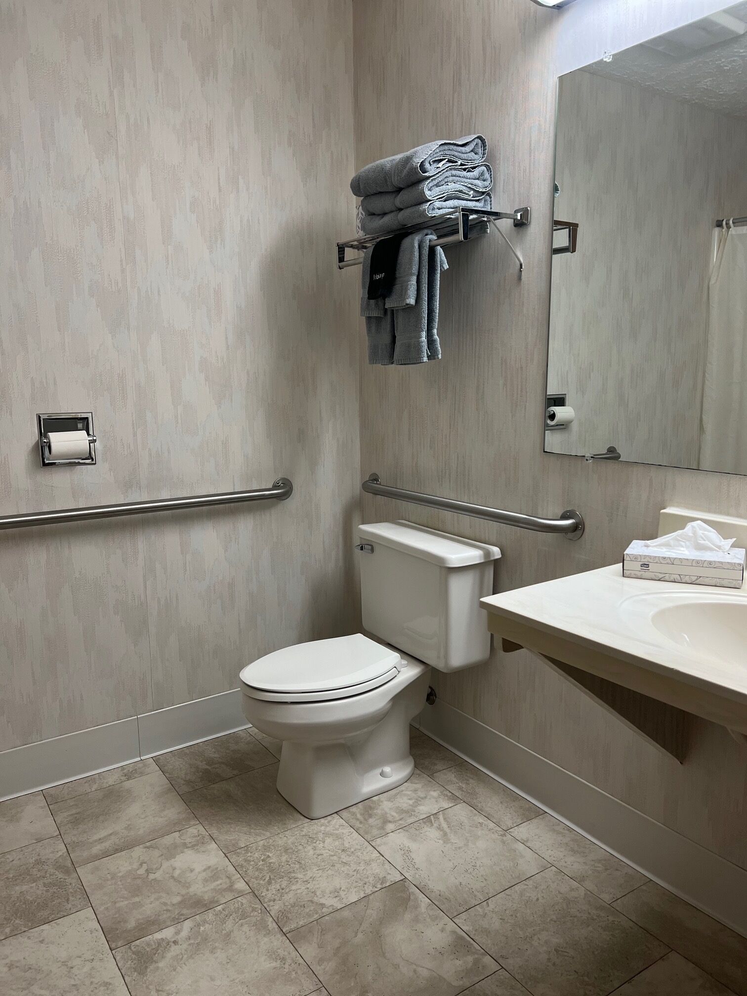 A modern bathroom with a toilet, grab bars, a sink, and a towel rack.