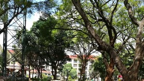 A paved pathway in a park with grass on either side, surrounded by trees and a building in the background. - Luxurious 2BR Retreat with Upscale Touches and 24/7 Security (Nairobi)