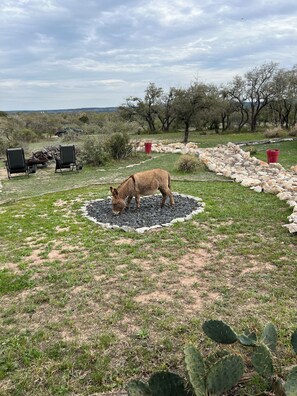 Overnattingsstedets uteområder