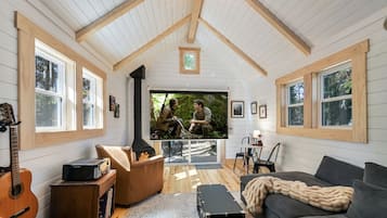 Télévision, cheminée, lecteur de DVD, médiathÚque