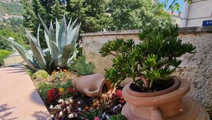 A garden with various plants and flowers, including succulents and colorful blooms, in a terracotta pot. - Apartments Mavi - Two-bedroom Apartment With Terrace and City View (Dubrovnik)