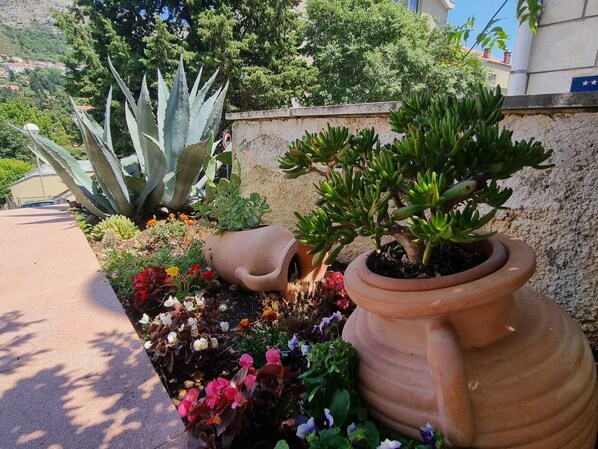 A garden with various plants and flowers, including succulents and colorful blooms, in a terracotta pot.