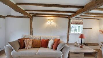 House | Living area | Fireplace