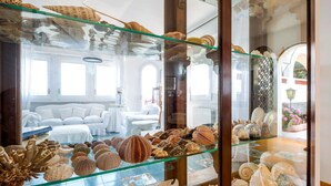 A room with a glass display case filled with seashells, a white sofa set, and a patterned floor. - Villa Bouganville in Massa Lubrense (Massa Lubrense)