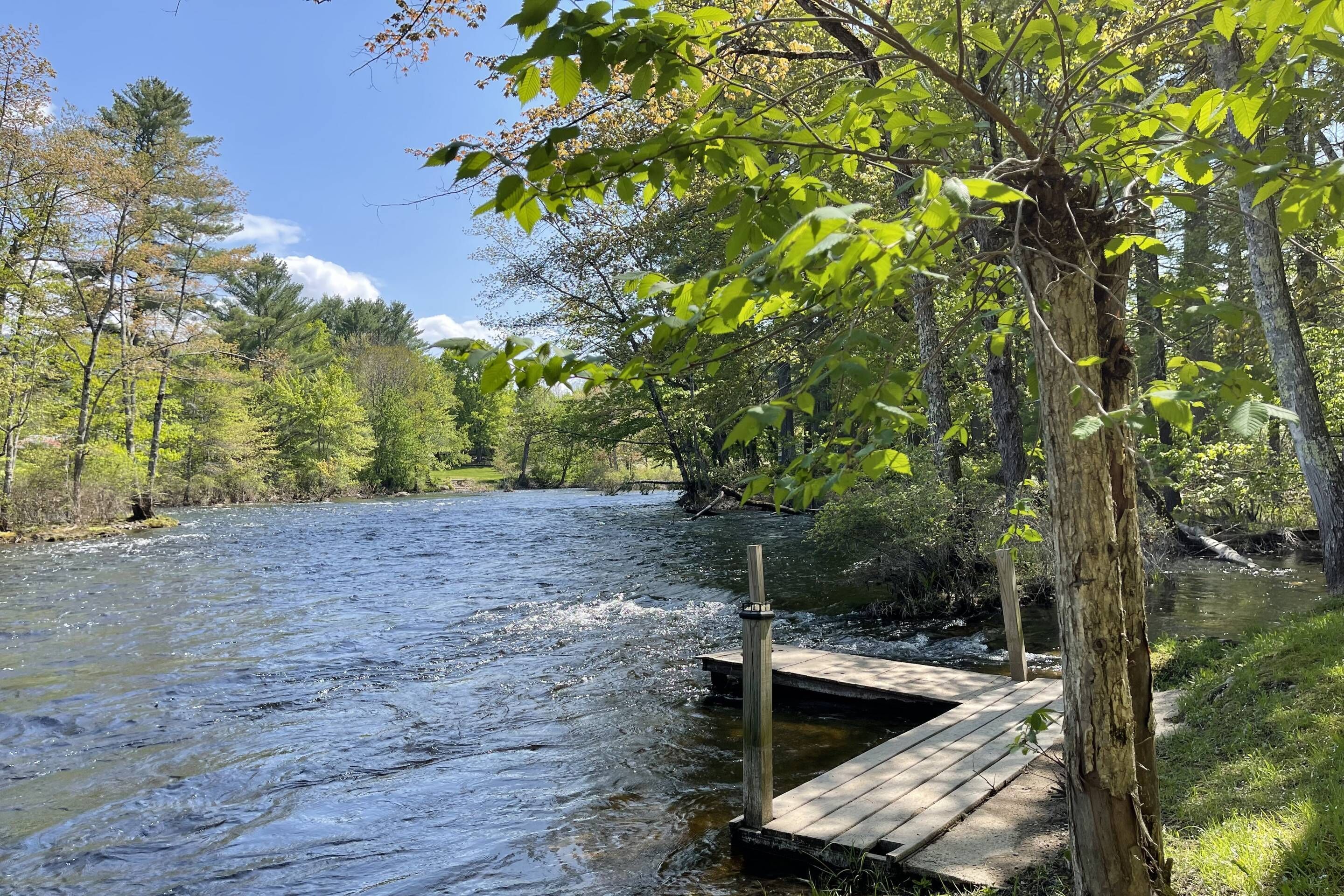 A river with a wooden dock extending into it, surrounded by trees and greenery.