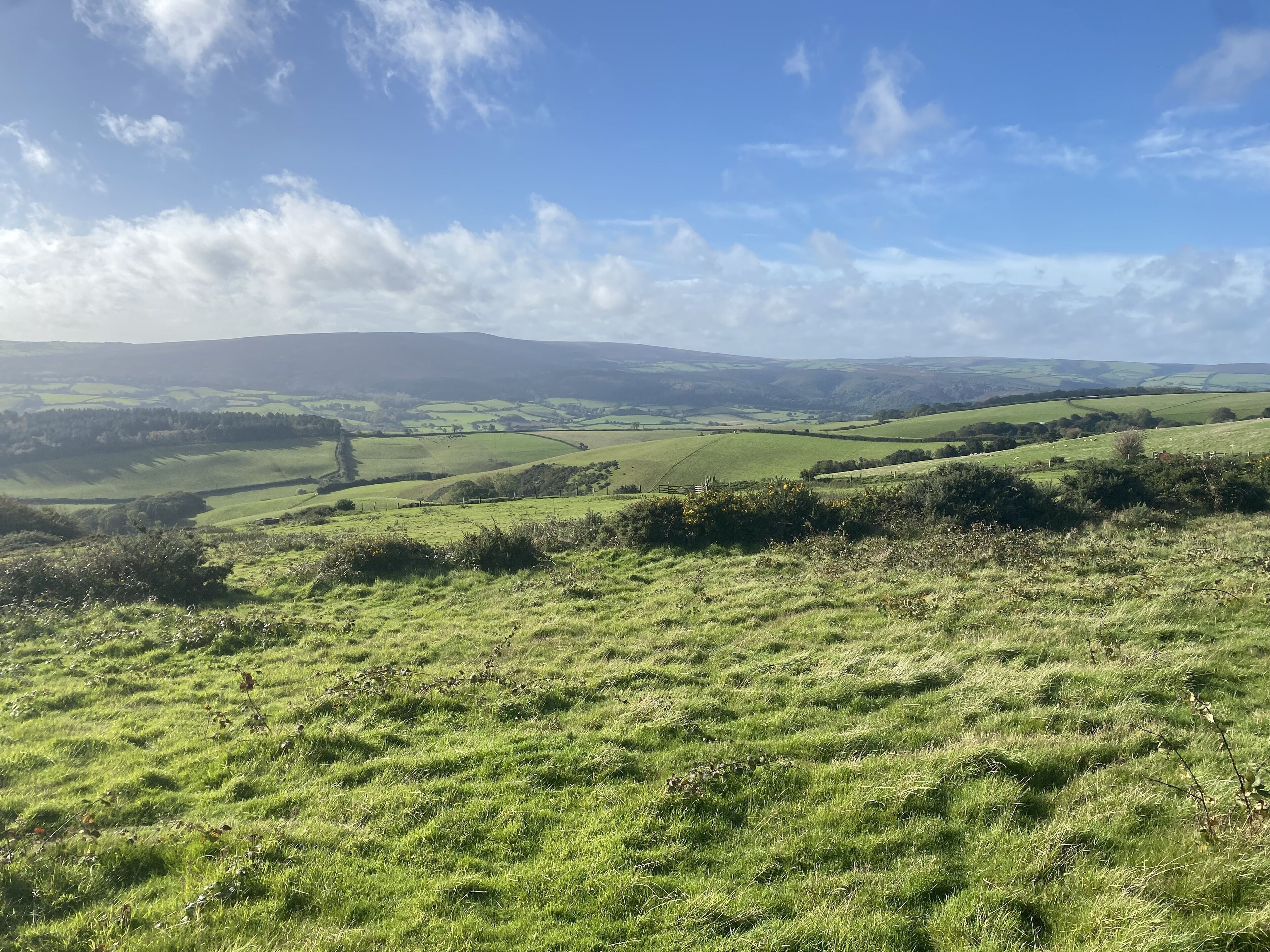 Une vue panoramique sur des collines verdoyantes et ondoyantes, sous un ciel dégagé.