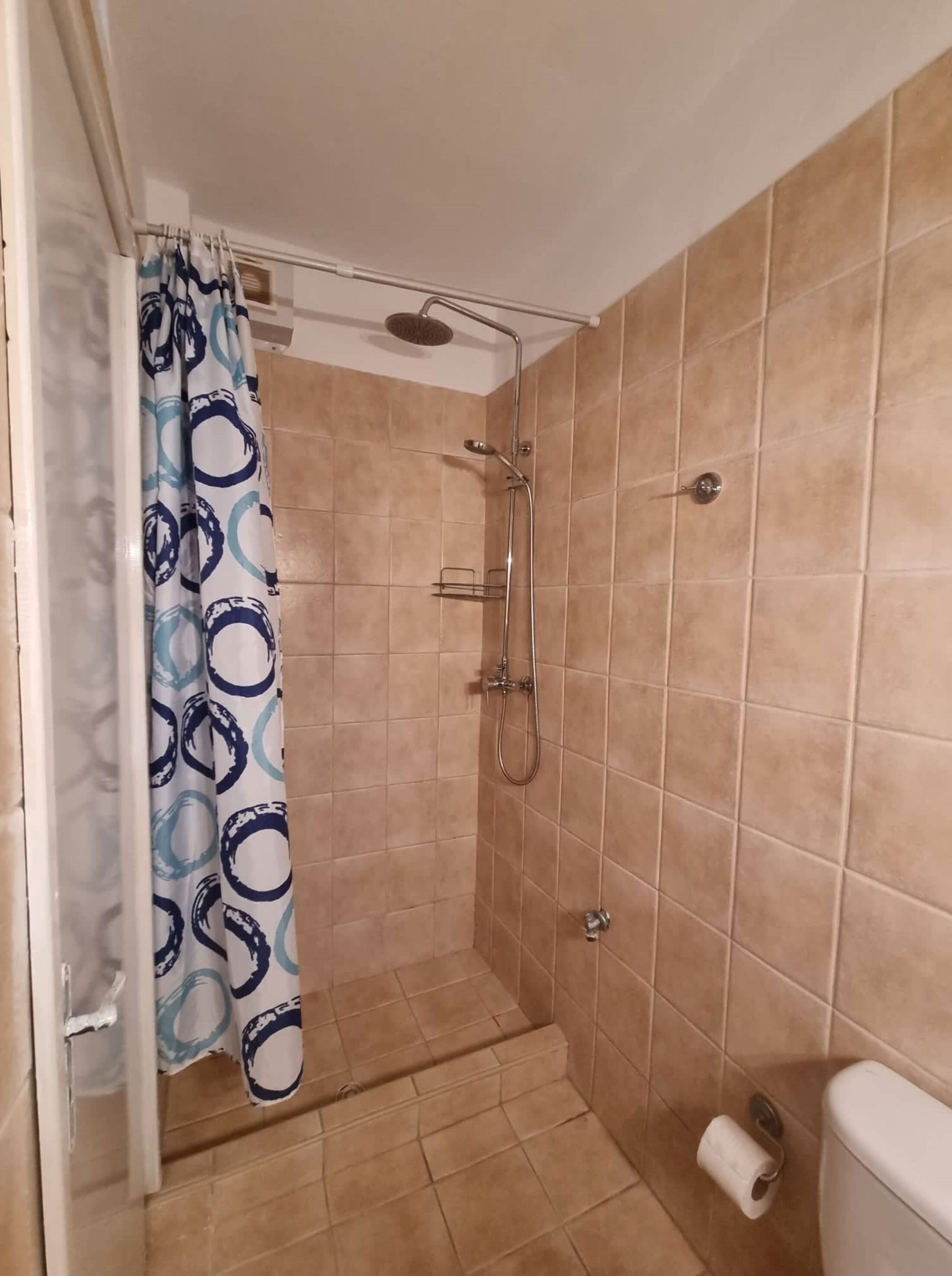 Apartment | Bathroom | Shower, hair dryer, towels