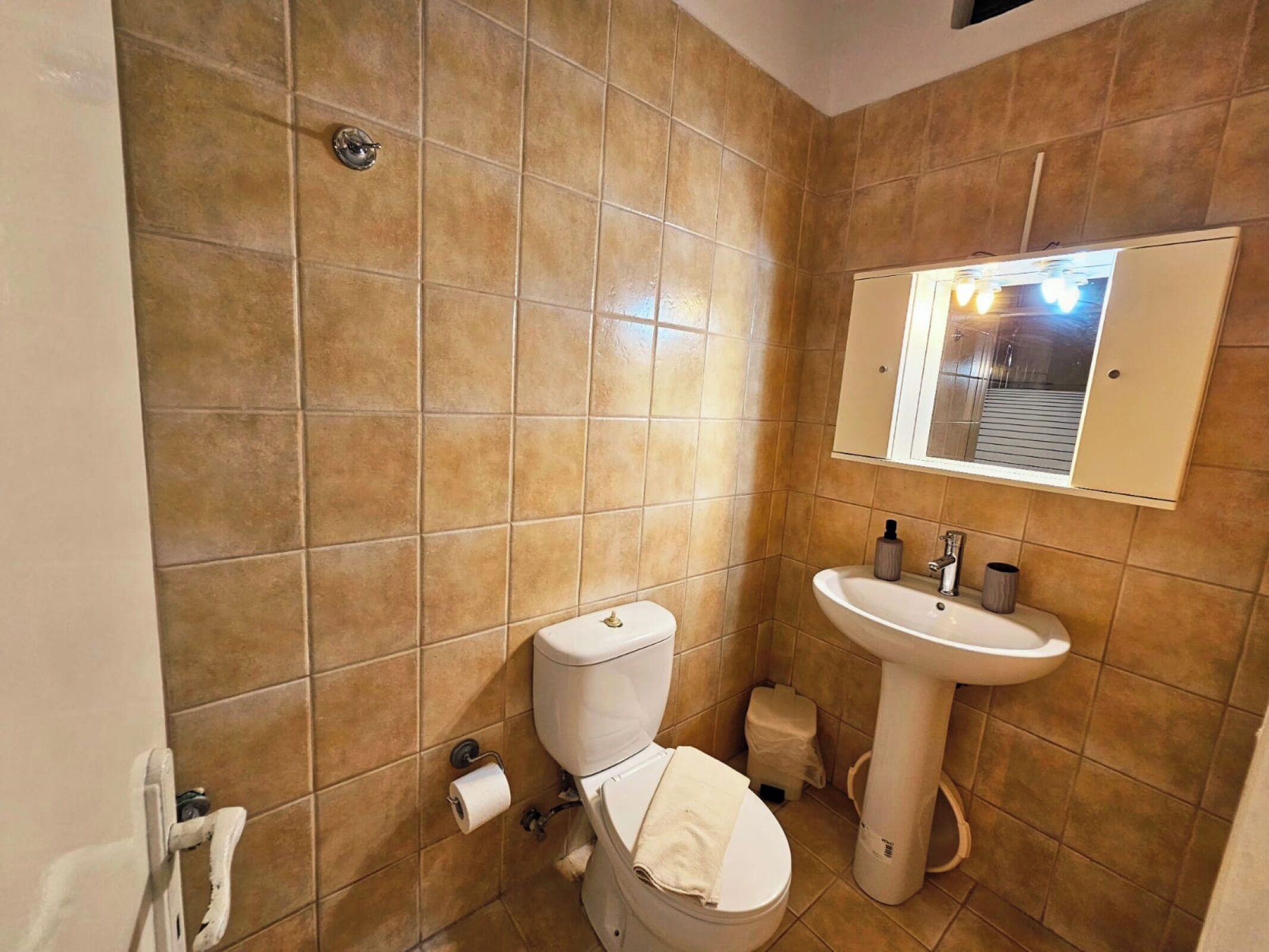A bathroom with a toilet, sink, and mirror.