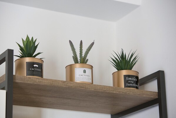 Três plantas em vasos sobre uma prateleira de madeira contra um fundo branco.
