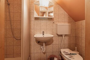 Nhà dành cho gia đình, nhiều phòng ngủ, 2 phòng tắm (Kunstek Farmhouse With Sauna) | Phòng tắm | Buồng tắm vòi sen, máy sấy tóc, khăn tắm, xà phòng 
