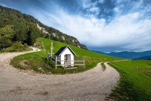 Exterior - Kunstek Farmhouse With Sauna (Rogatec)