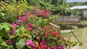 A garden with bougainvillea plants and a wooden fence in the background. - Yanceylargo Estate - Newly Renovated 7br Beautiful Two-story Estate Villa W Gorgeous Mountain View 7 Bedroom Villa by RedAwning (Montego Bay)