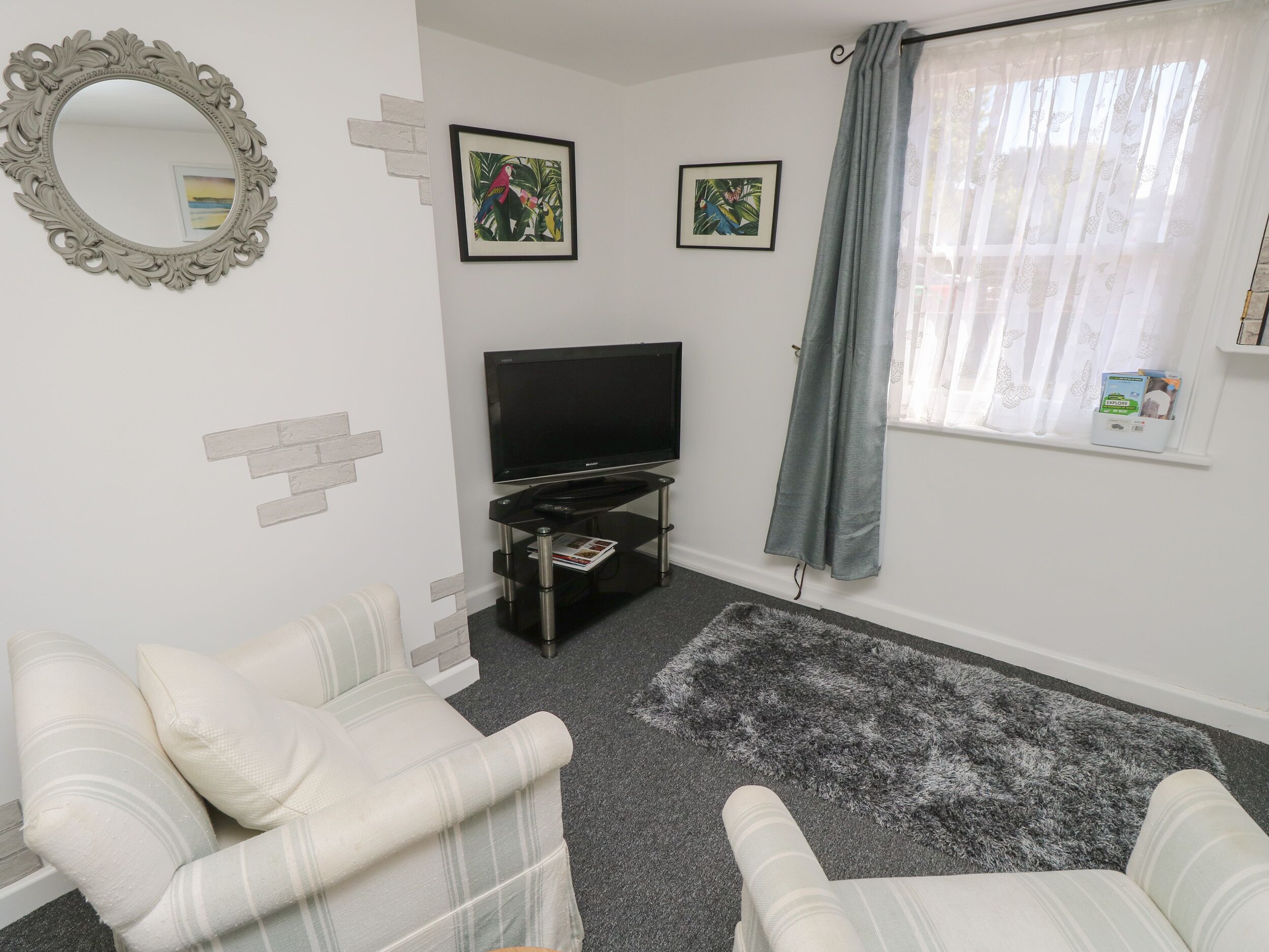 A living room with a flat-screen TV, two framed pictures, a mirror, and a grey shag rug.