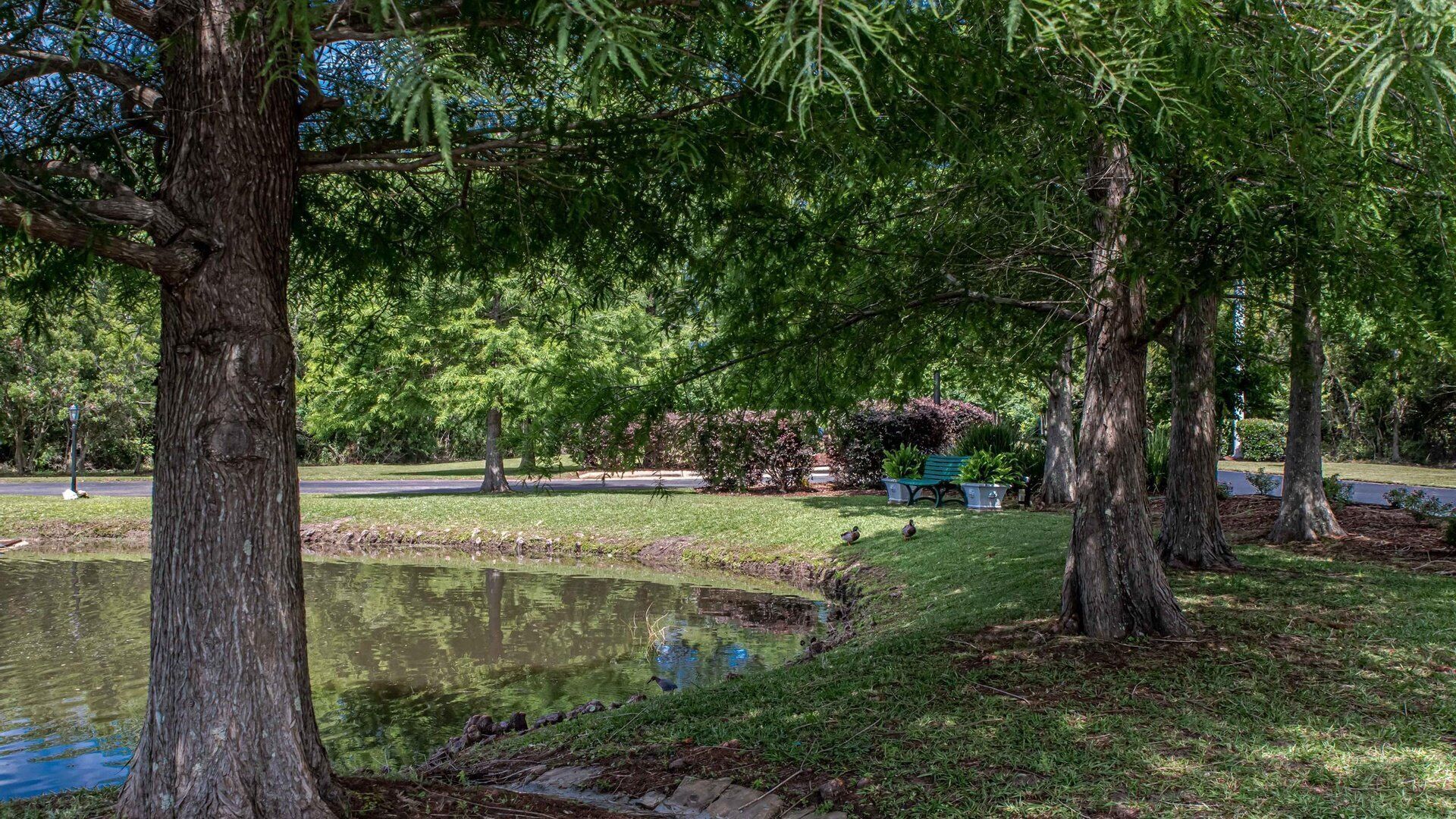 A tranquil park with a pond, benches, and trees.