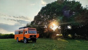 Een oranje Iveco vrachtwagen staat geparkeerd in een grasveld, met een grote boom en een zonsondergang op de achtergrond.