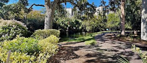A park with a pond, trees, and a paved walkway.