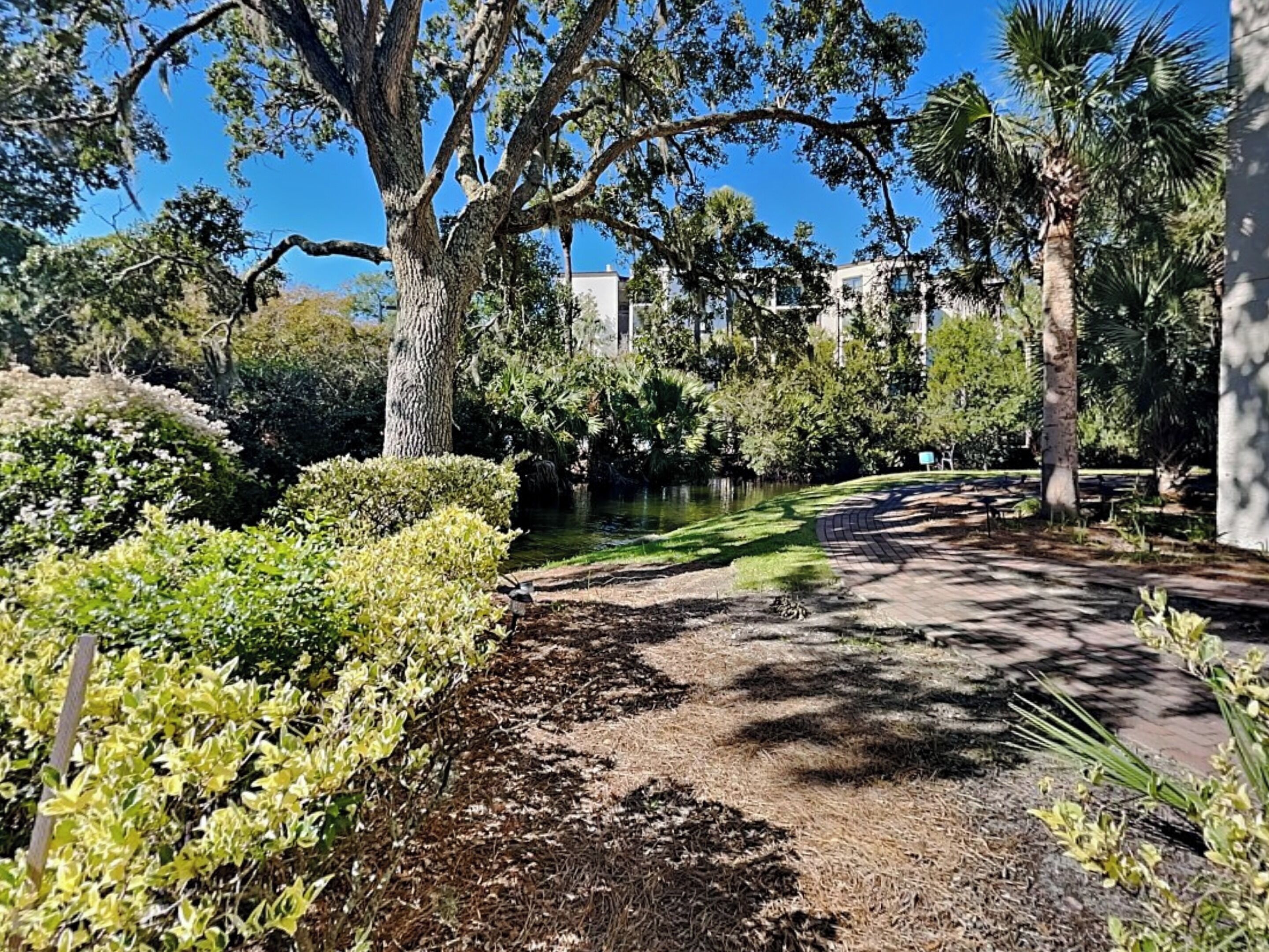 Condo (3 Bedrooms) | Property amenity