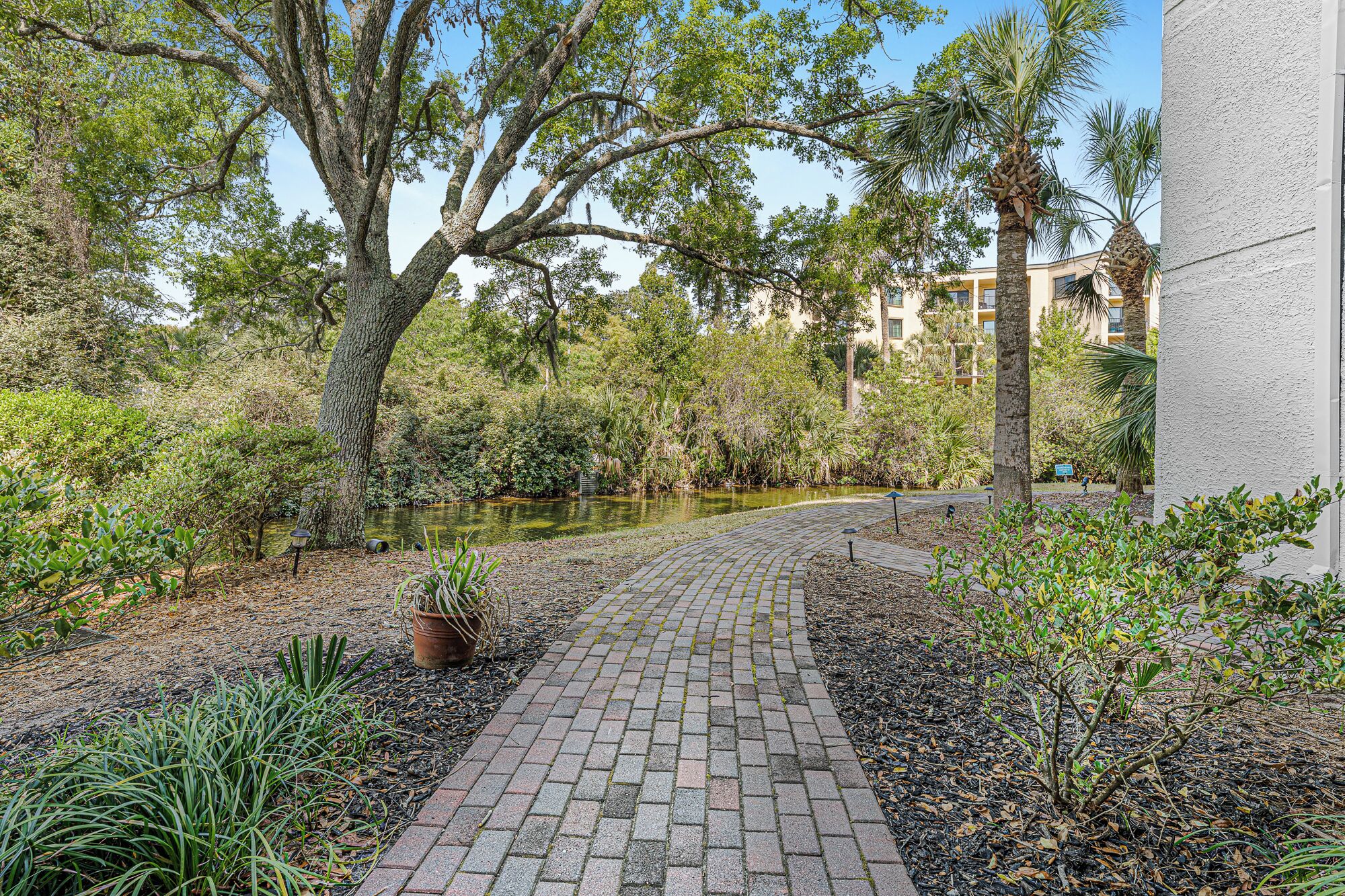 A paved pathway leading to a body of water, surrounded by lush greenery and trees.