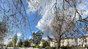 Basic Apartment, Multiple Beds | Miscellaneous - Cosy 2BD Flat With Patio - 1 min to Little Venice (London)