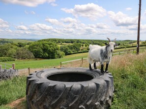 村舍 | 住宿内部