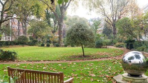 1 habitación 