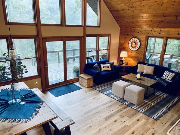 Smart TV, fireplace, DVD player, books