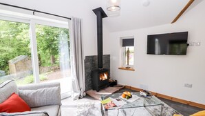 A modern living room with a fireplace, a sofa, a coffee table, and a TV mounted on the wall. - Lands Brow Lodge (Wigton)
