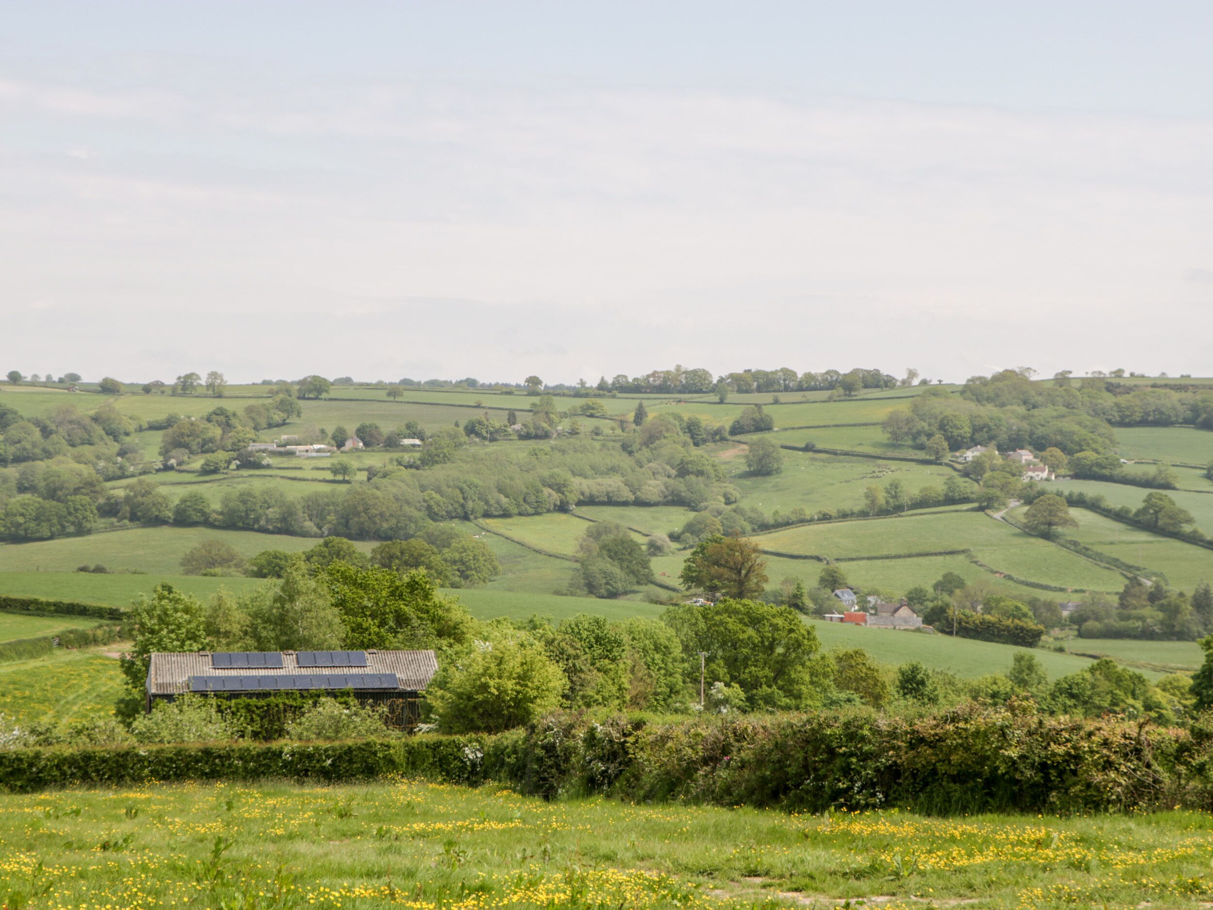 A rural landscape with rolling hills, scattered trees, and a few buildings.
